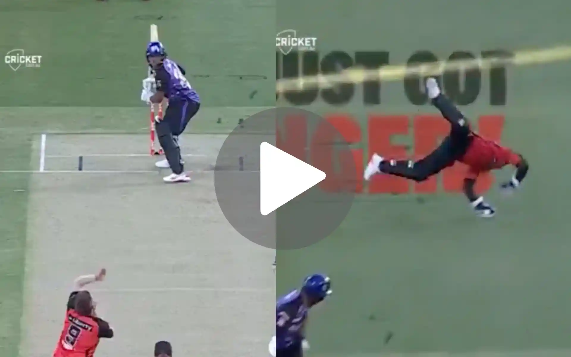 [Watch] Tim Seifert's Dhoni-esque One-Handed Grab Leads To Hobart's Collapse In BBL